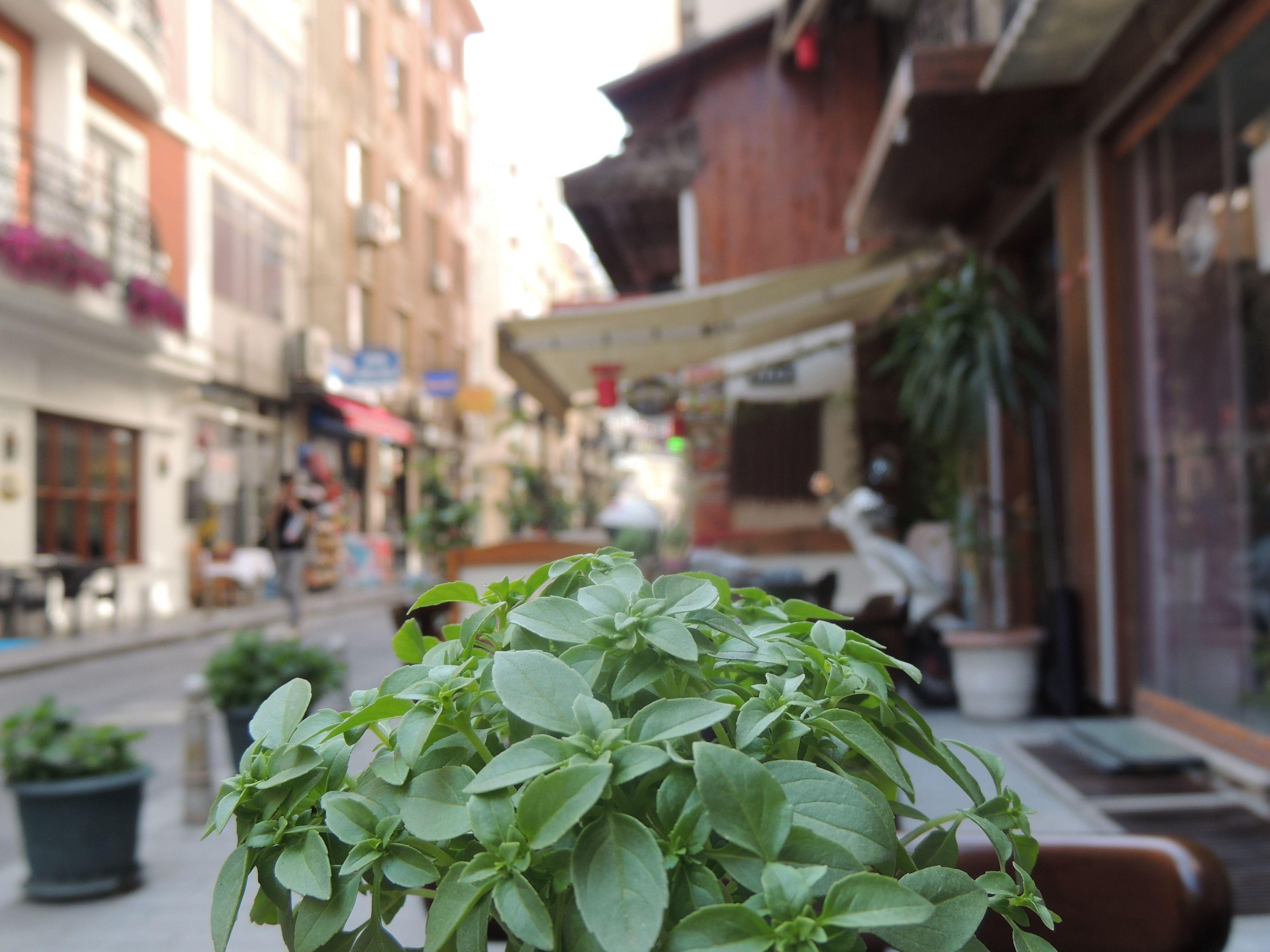 Sirkeci Quietness Hotel — Fotoğraflar 2